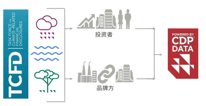 CDP-工作方式