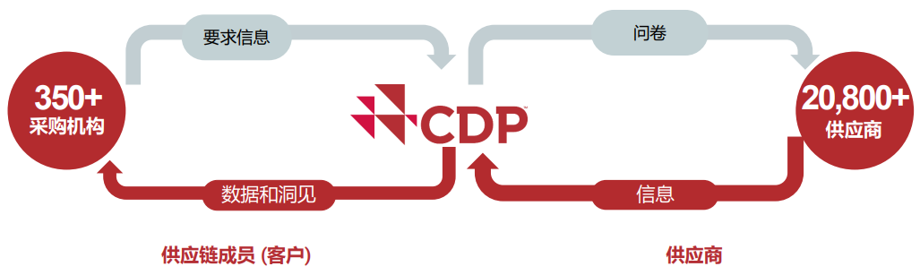 CDP披露平台